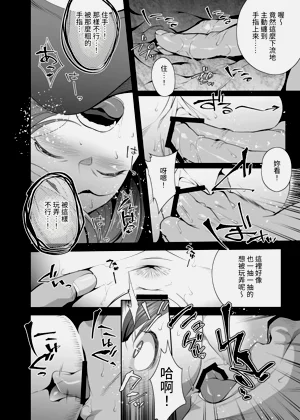 第17页图