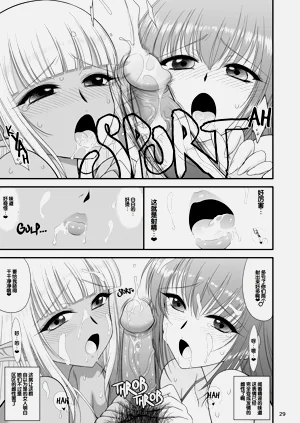 第31頁圖