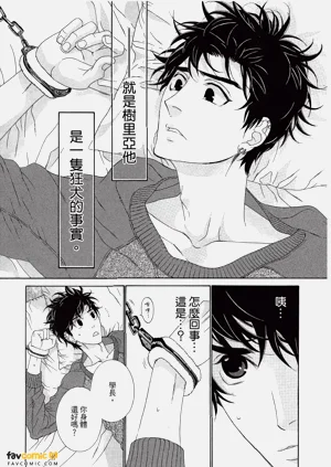 第146頁圖