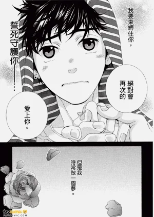 第184頁圖