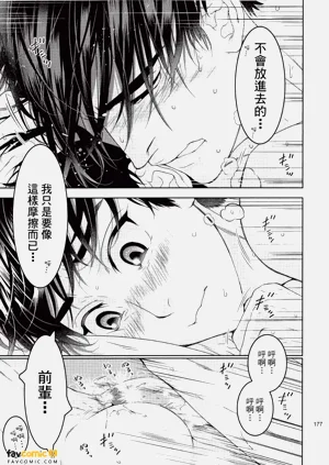 第178頁圖