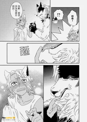 第204頁圖