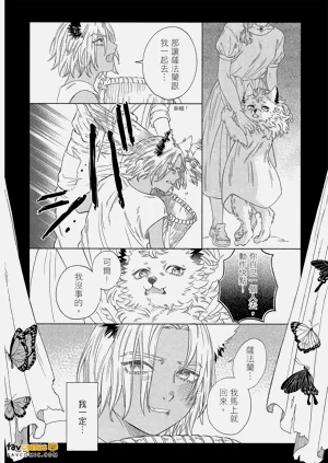 第41頁圖