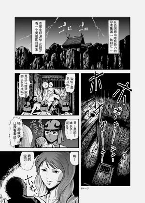 第2页图