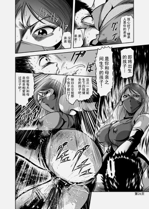 第25页图