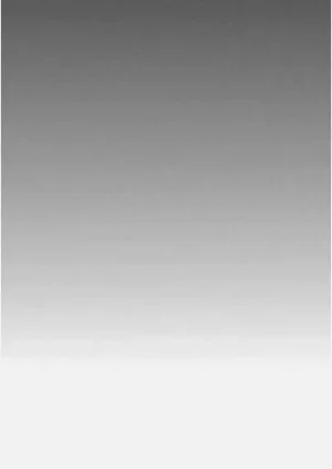 第141頁圖