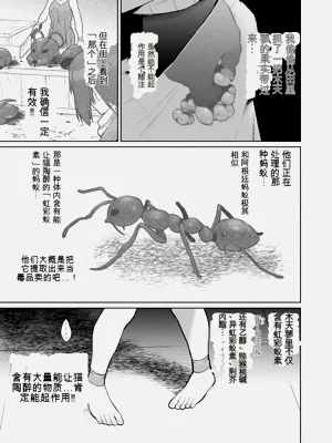 第31页图