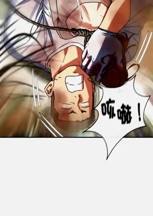 第239頁圖
