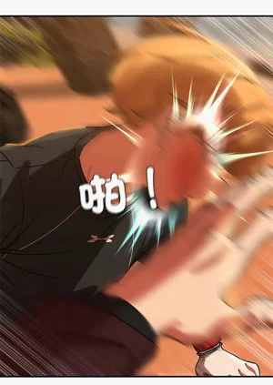 第262頁圖
