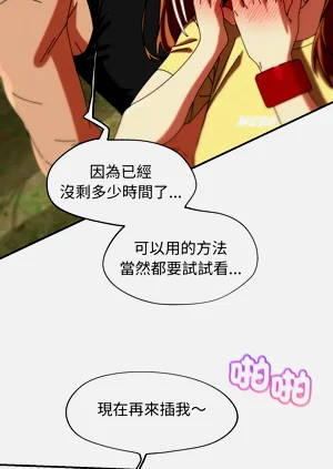 第29頁圖
