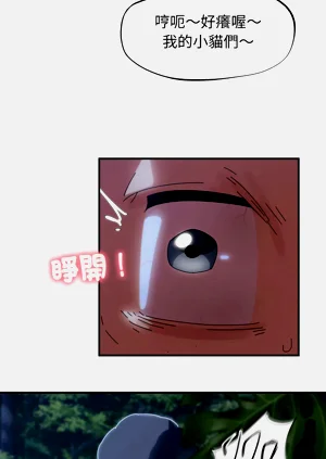 第68頁圖