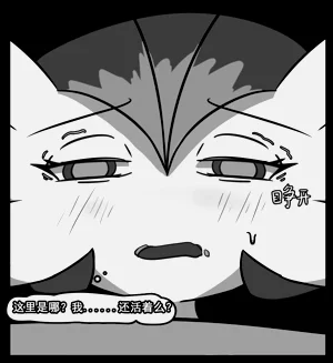 第12页图