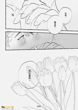 第247頁圖