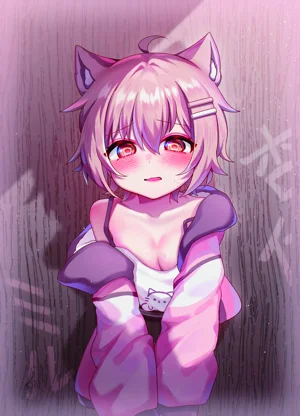 第27页图