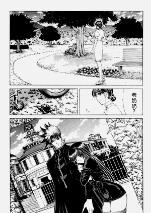 第181頁圖