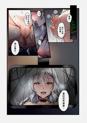 第17页图