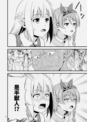 第4页图