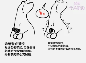 여존남비 세상의 정조대 女尊男卑世界的贞操锁图