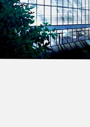 第133頁圖