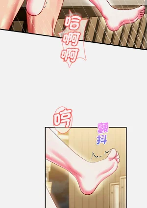 第219頁圖
