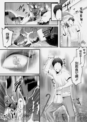 第8页图