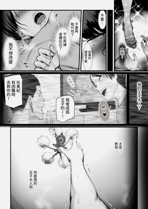 第40頁圖