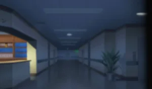 第215頁圖