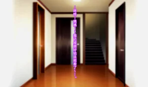 第43頁圖