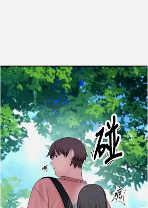 第233页图