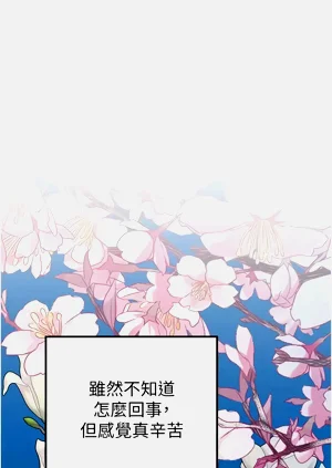 第73页图