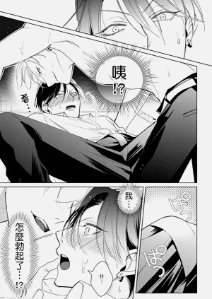第31頁圖