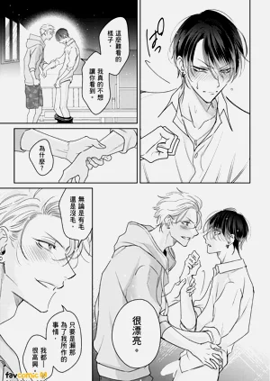 第33頁圖