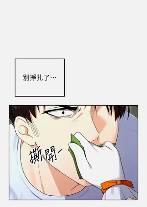 第211頁圖
