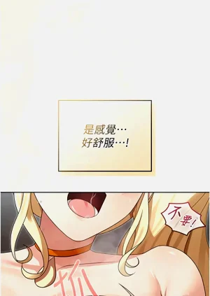 第214頁圖