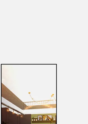 第172页图