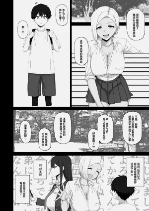 第4页图