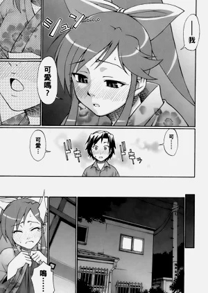 第41頁圖
