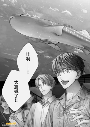 第97页图