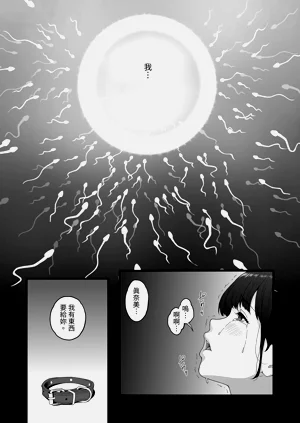 第41页图