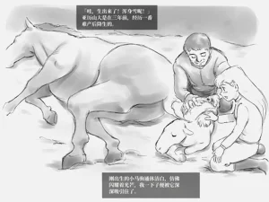 第17页图