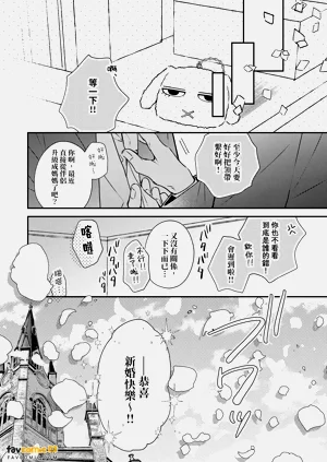 第211頁圖