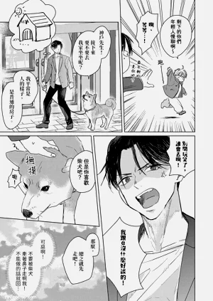 第11页图