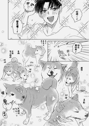 第12页图
