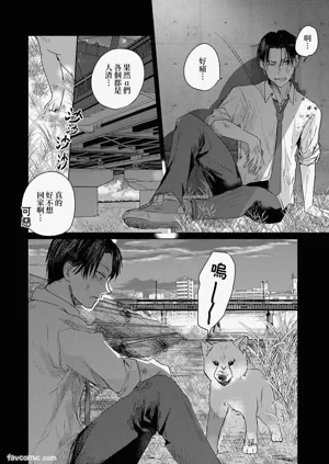 第125页图