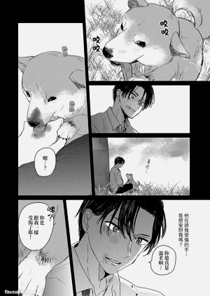 第127页图