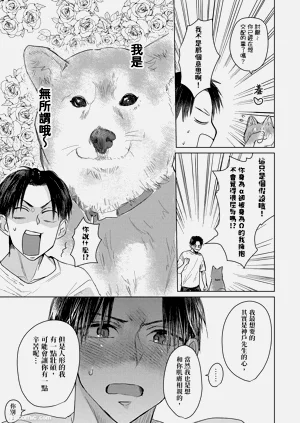第17页图
