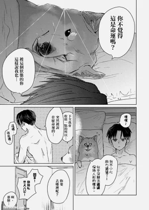 第31页图