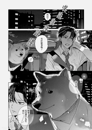 第42页图