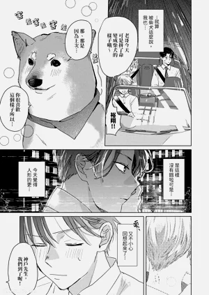 第43页图