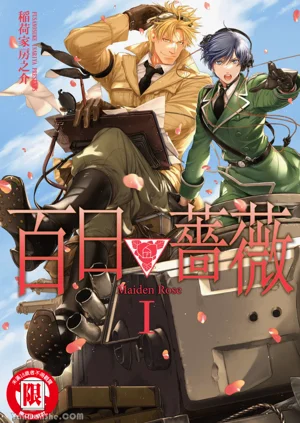 百日の蔷薇 Maiden Rose︱百日蔷薇 Maiden Rose图
